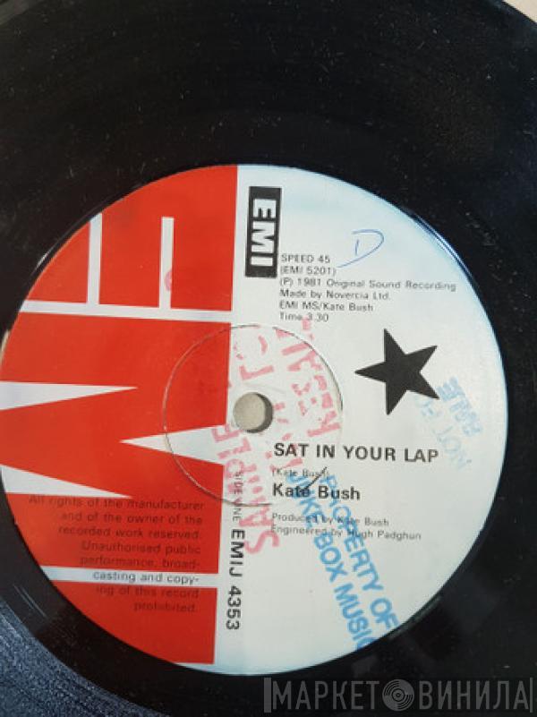  Kate Bush  - Sat In Your Lap