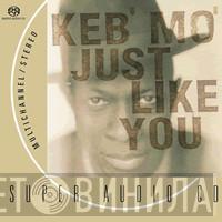  Keb' Mo'  - Just Like You
