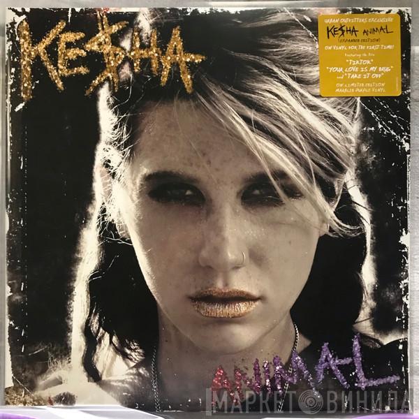  Kesha  - Animal