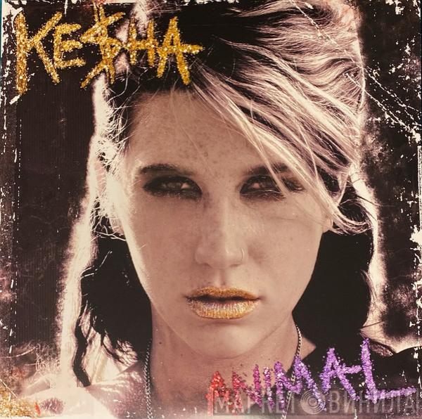  Kesha  - Animal