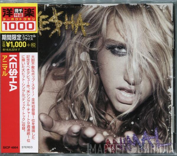  Kesha  - Animal