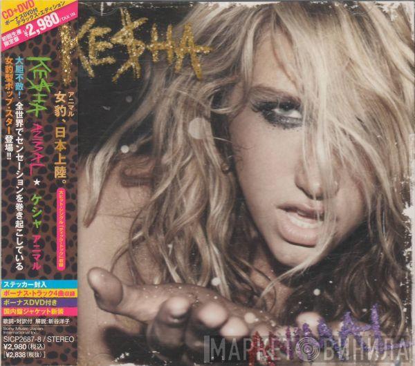  Kesha  - Animal