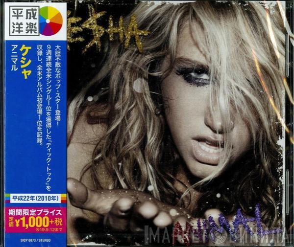  Kesha  - Animal