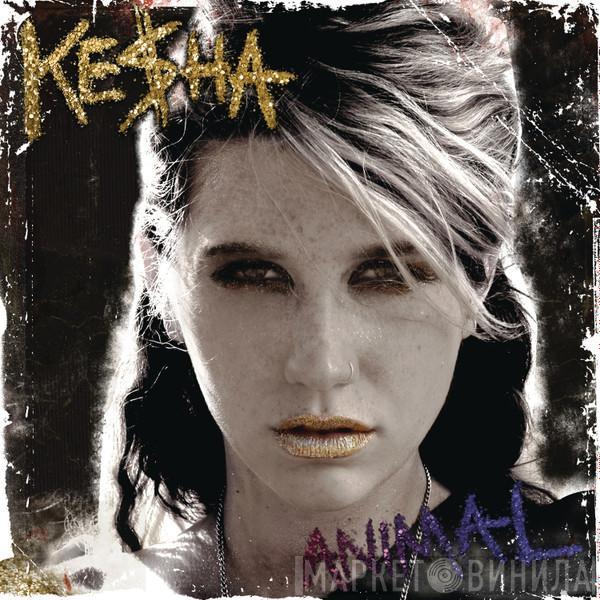  Kesha  - Animal