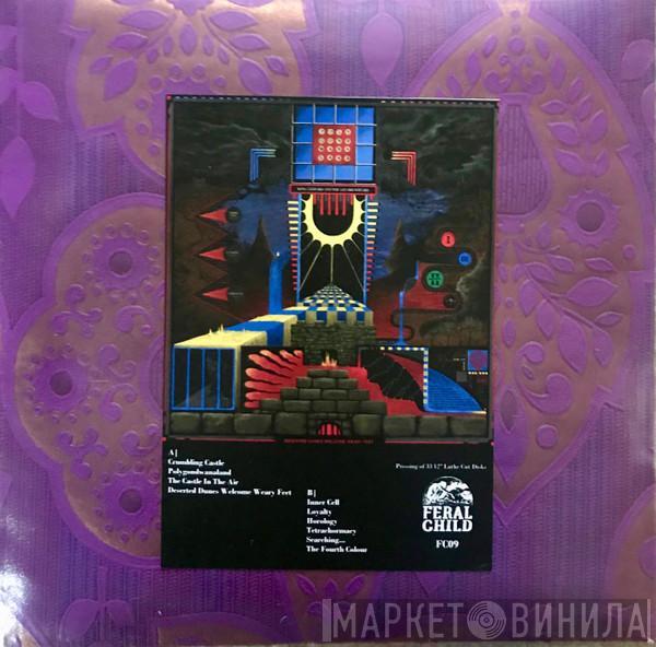  King Gizzard And The Lizard Wizard  - Polygondwanaland