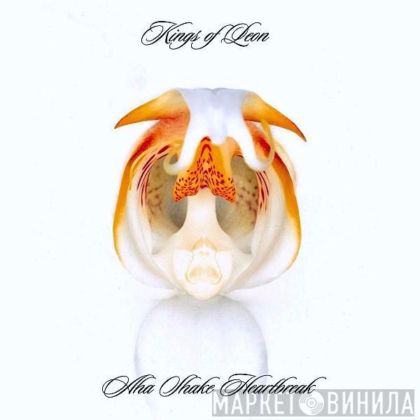  Kings Of Leon  - Aha Shake Heartbreak