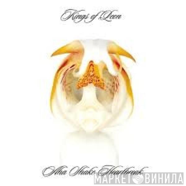 Kings Of Leon - Aha Shake Heartbreak