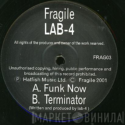 Lab 4 - Funk Now / Terminator
