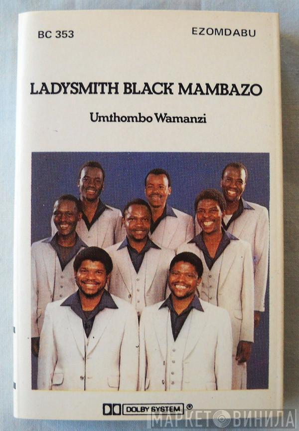 Ladysmith Black Mambazo  - Umthombo Wamanzi