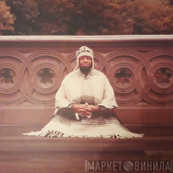 Laraaji - Segue To Infinity