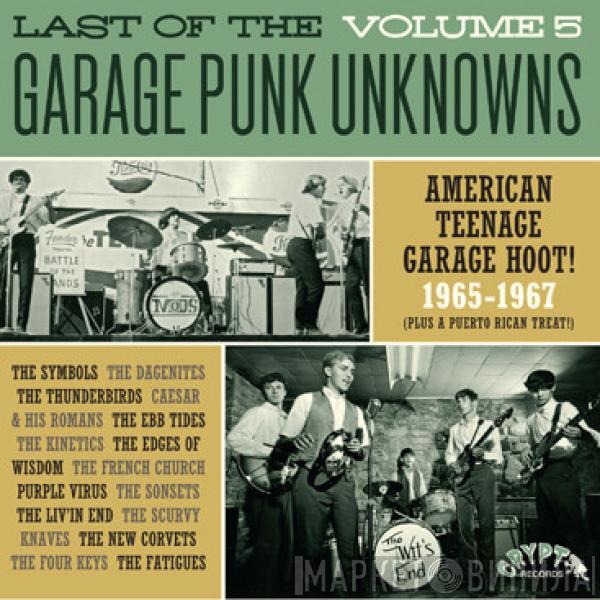  - Last Of The Garage Punk Unknowns Volume 5
