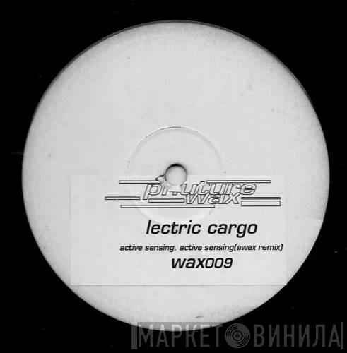  Lectric Cargo  - Active Sensing
