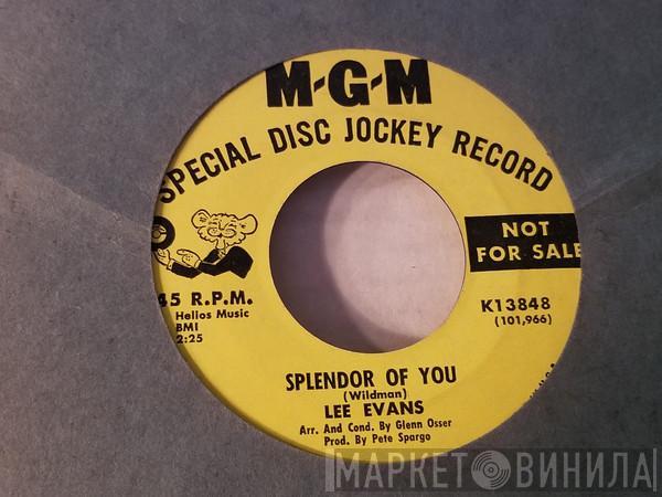 Lee Evans - Splendor Of You / Tara Theme
