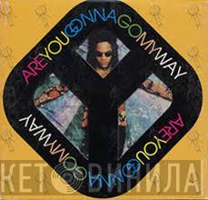  Lenny Kravitz  - Are You Gonna Go My Way