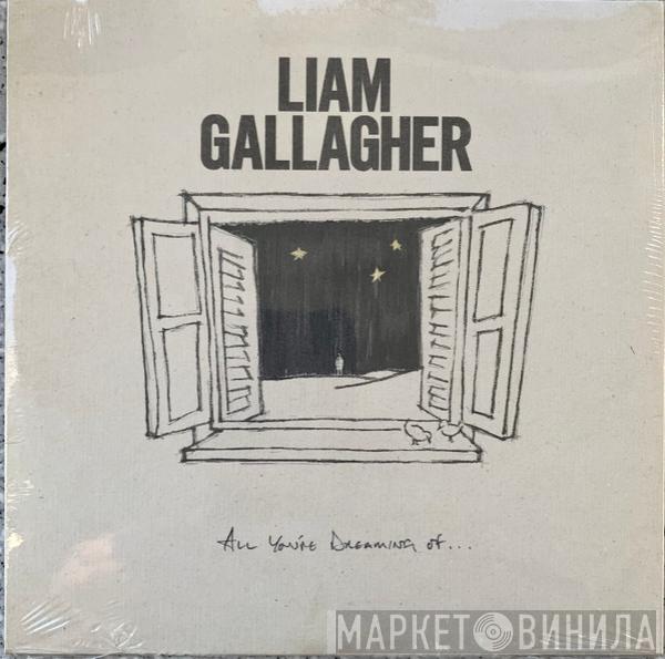 Liam Gallagher - All You're Dreaming Of...