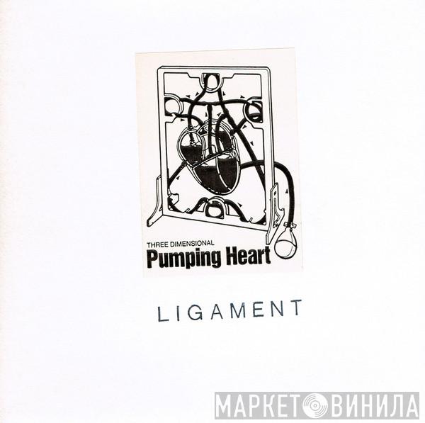 Ligament - Three Dimensional Pumping Heart