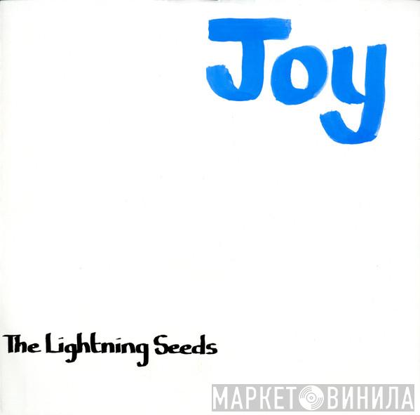 Lightning Seeds - Joy