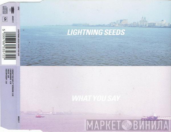 Lightning Seeds - What You Say
