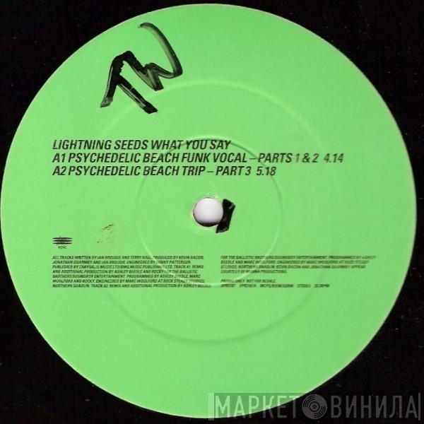 Lightning Seeds - What You Say