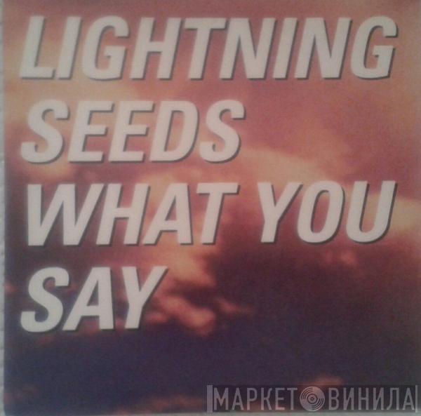 Lightning Seeds - What You Say