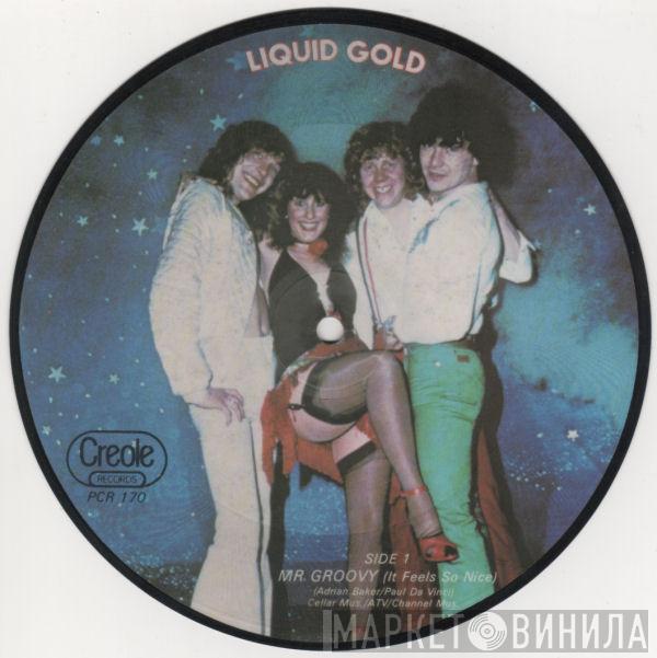 Liquid Gold - Mr Groovy (It Feels So Nice)