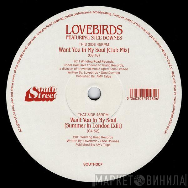 Lovebirds, Stee Downes - Want You In My Soul