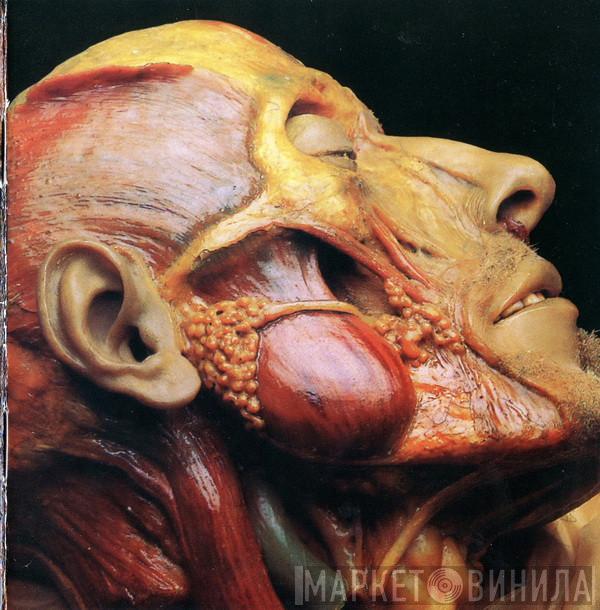  Lymphatic Phlegm  - Show-Off Cadavers - The Anatomy Of Self Display