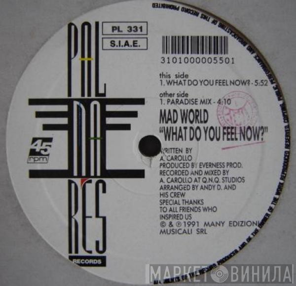 Mad World - What Do You Feel Now?