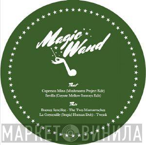  - Magic Wand Vol 12