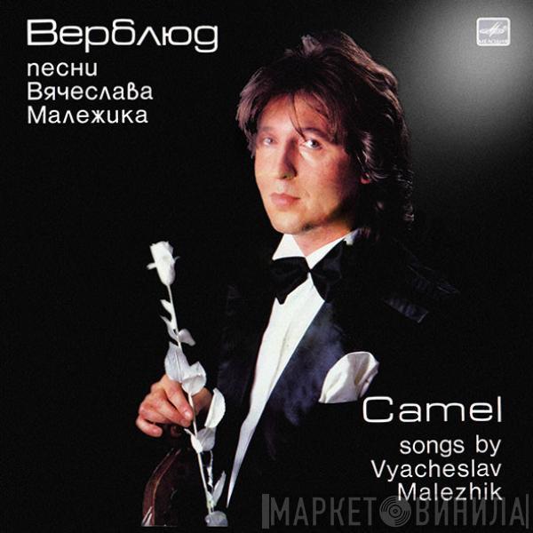 Вячеслав Малежик, Саквояж - Верблюд