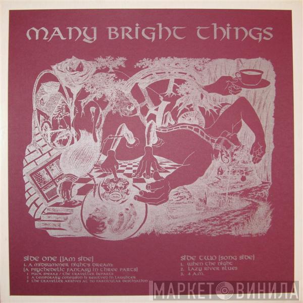 Many Bright Things - Many Bright Things
