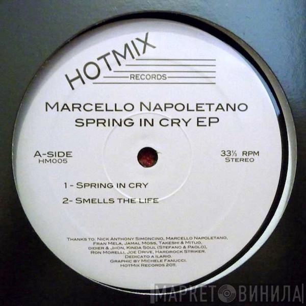  Marcello Napoletano  - Spring In Cry EP