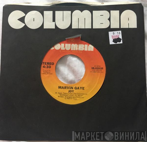  Marvin Gaye  - Joy / Turn On Some Music