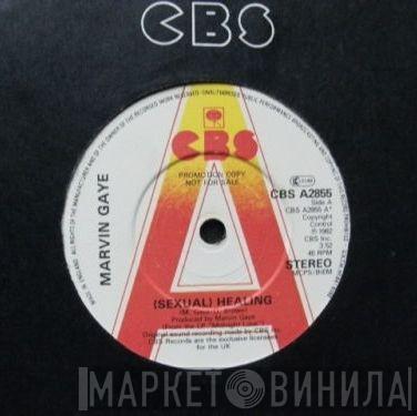  Marvin Gaye  - (Sexual) Healing