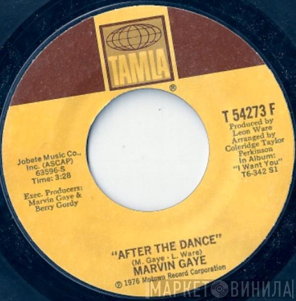  Marvin Gaye  - After The Dance