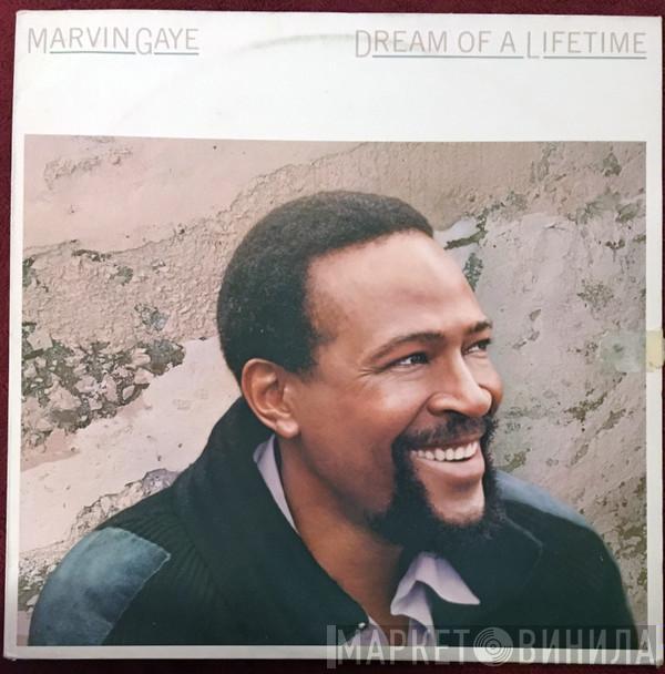  Marvin Gaye  - Dream Of A Lifetime