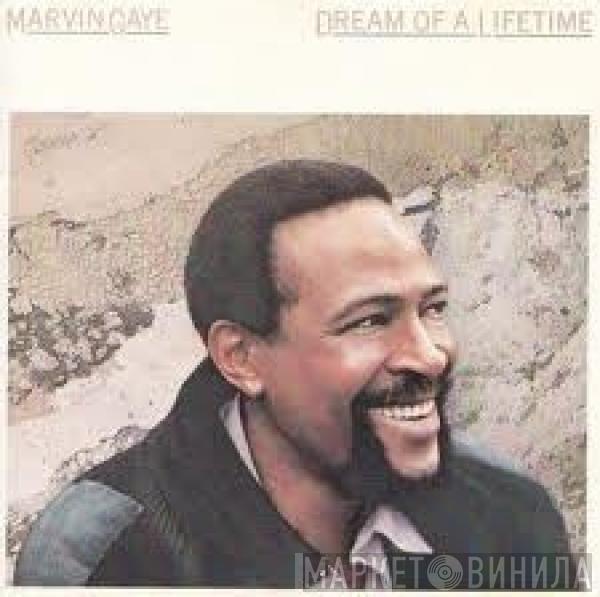  Marvin Gaye  - Dream Of A Lifetime