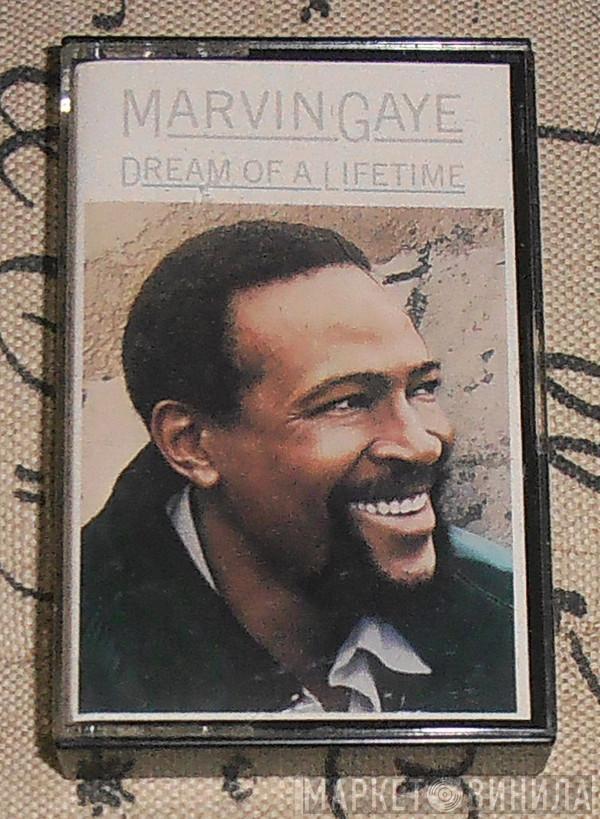  Marvin Gaye  - Dream Of A Lifetime