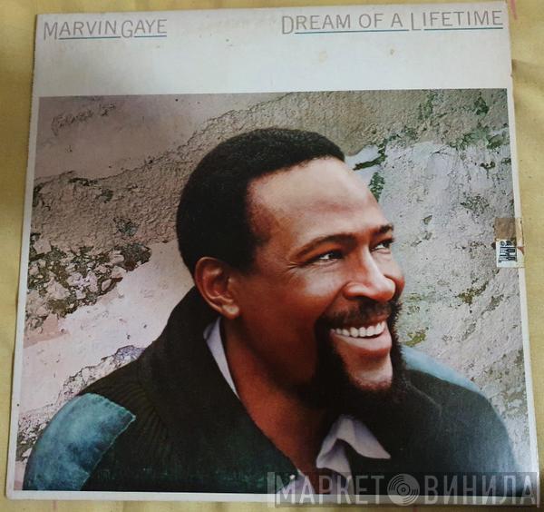  Marvin Gaye  - Dream Of A Lifetime
