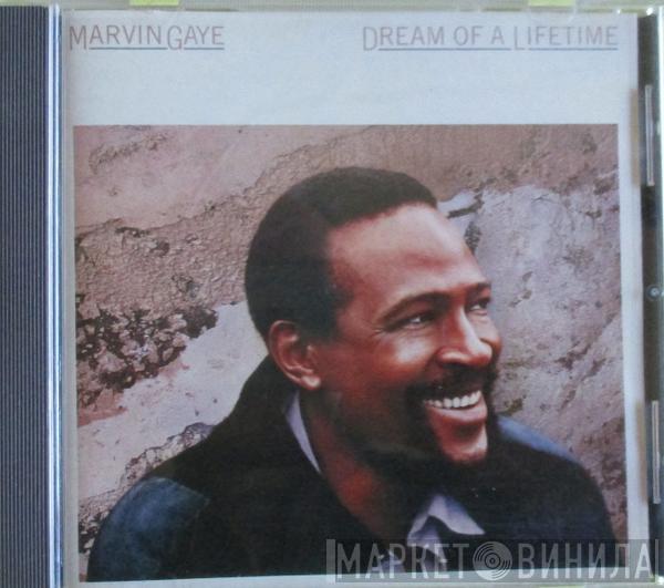  Marvin Gaye  - Dream Of A Lifetime