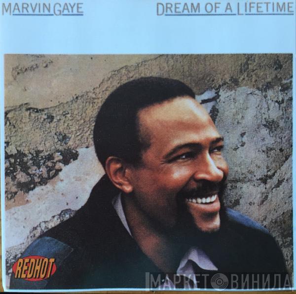  Marvin Gaye  - Dream Of A Lifetime