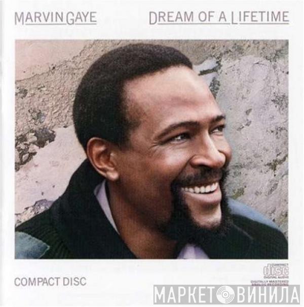  Marvin Gaye  - Dream Of A Lifetime