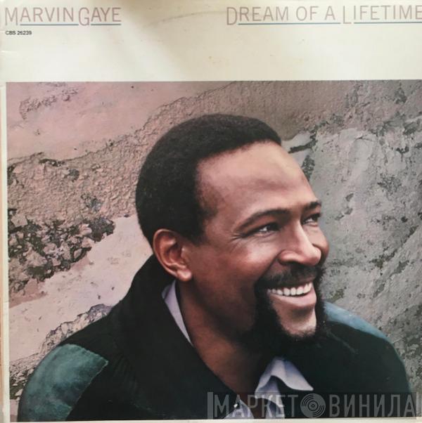 Marvin Gaye  - Dream Of A Lifetime