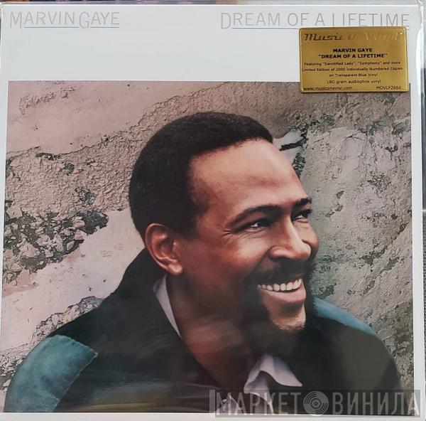  Marvin Gaye  - Dream Of A Lifetime