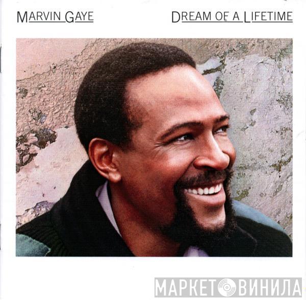 Marvin Gaye  - Dream Of A Lifetime