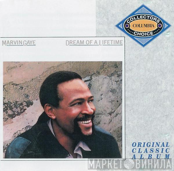  Marvin Gaye  - Dream Of A Lifetime