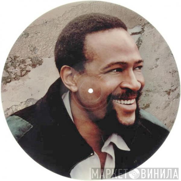  Marvin Gaye  - Dream Of A Lifetime