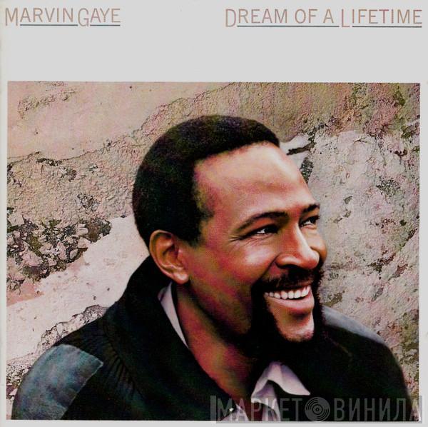 Marvin Gaye  - Dream Of A Lifetime