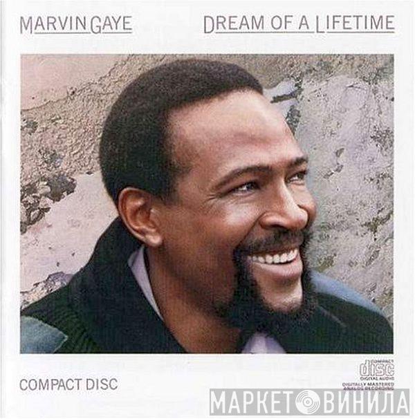  Marvin Gaye  - Dream Of A Lifetime