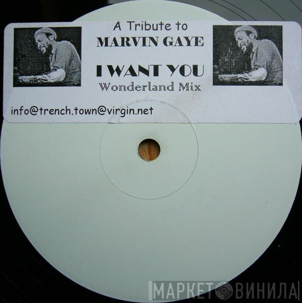 Marvin Gaye - I Want You (Wonderland Remix)
